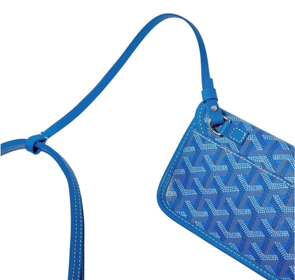 Goyard Saint Louis PM Bag “Sky blue”