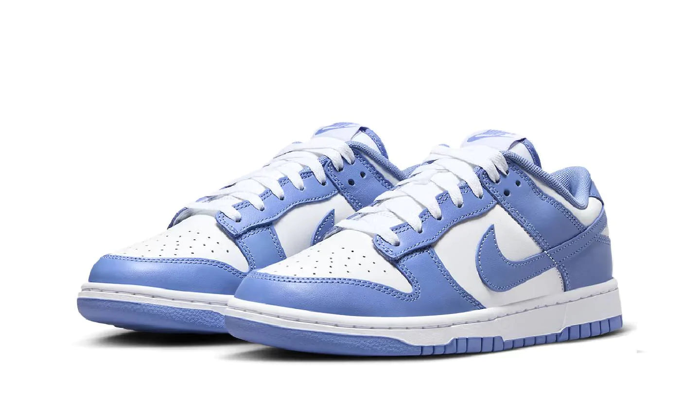 Nike Dunk Low Polar Blue