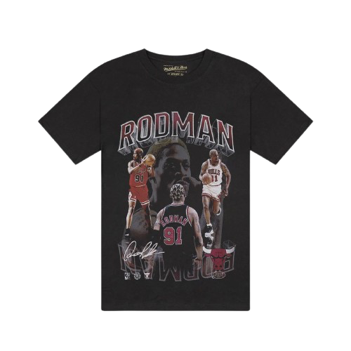 Dennis Rodman Chicago Bulls Player & Stats T-Shirt