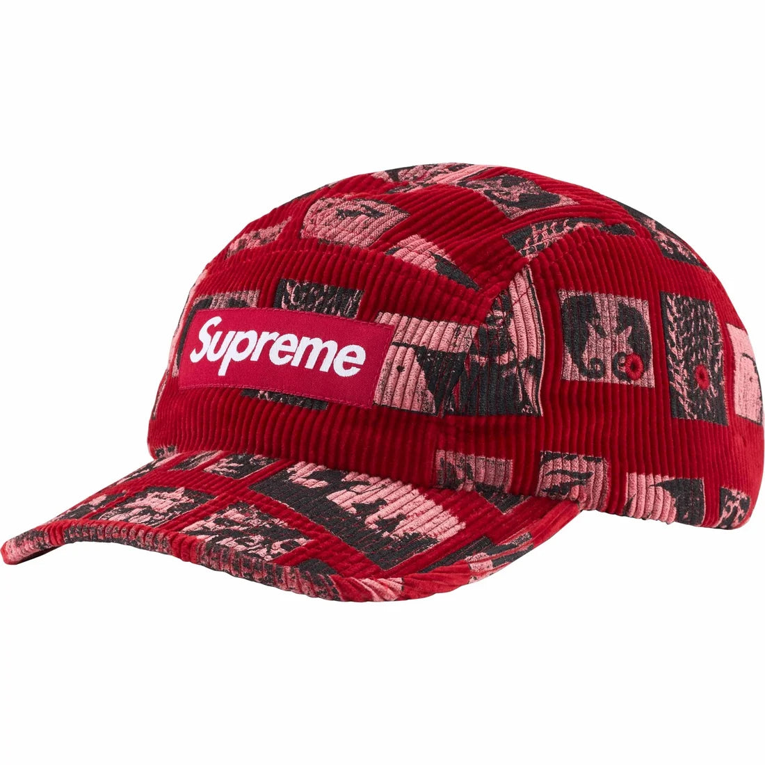 Bling best sale camp cap