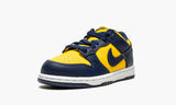 Nike Dunk Low Michigan State (GS)